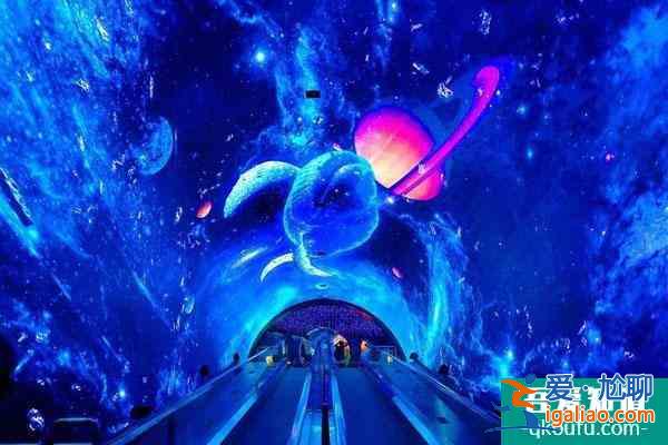 佛山哪個(gè)海洋館比較好 必去打卡游玩的海洋館？