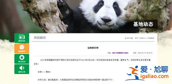 外交部稱中方對旅泰大熊貓離世表達(dá)難過[中方]？