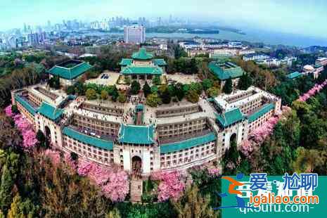 2022武漢大學校友預約櫻花攻略？