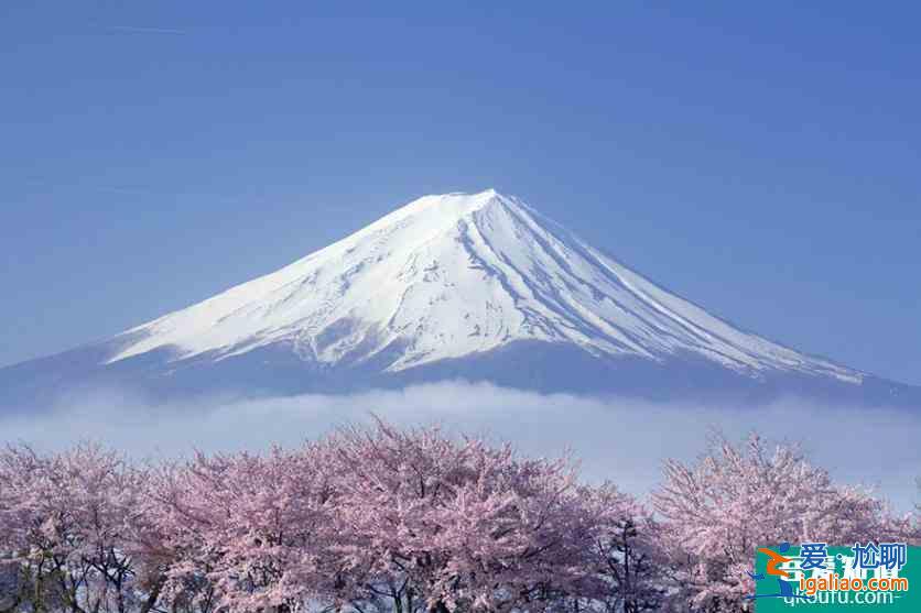 日本櫻花前線2022時間 附推薦地點及美食推薦？