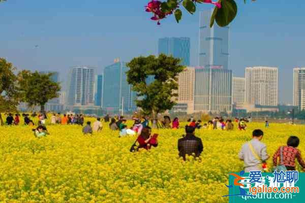 2022福州花海公園油菜花什么時(shí)候開？