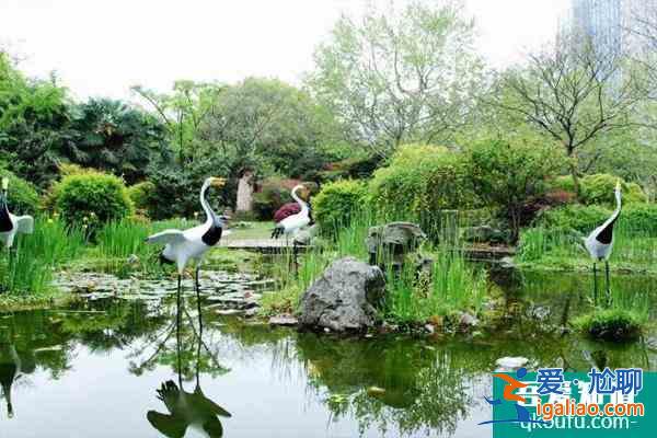 2022上海公園春季賞花指南 上海賞花好去處？