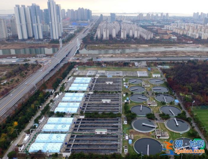 高中生做毒梟 明星成“毒王” 韓國正被毒品侵蝕？