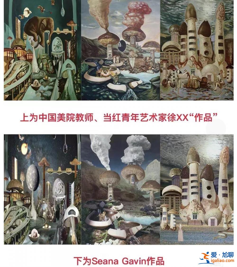 作品被指涉嫌抄襲 中國美術(shù)學(xué)院一教師已停課接受調(diào)查 舉報者發(fā)聲？