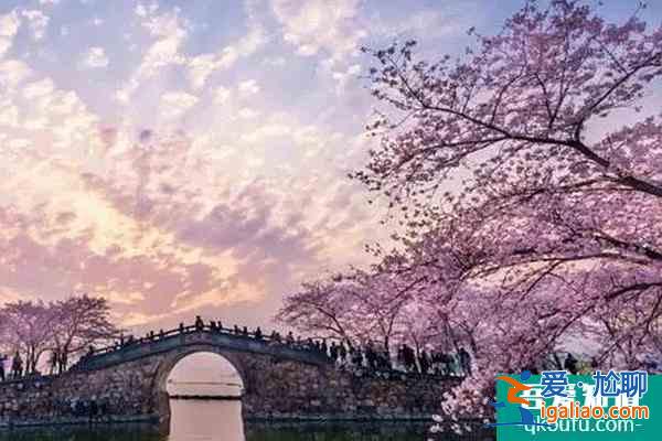 黿頭渚櫻花什么時(shí)候開放2022  黿頭渚門票多少錢？