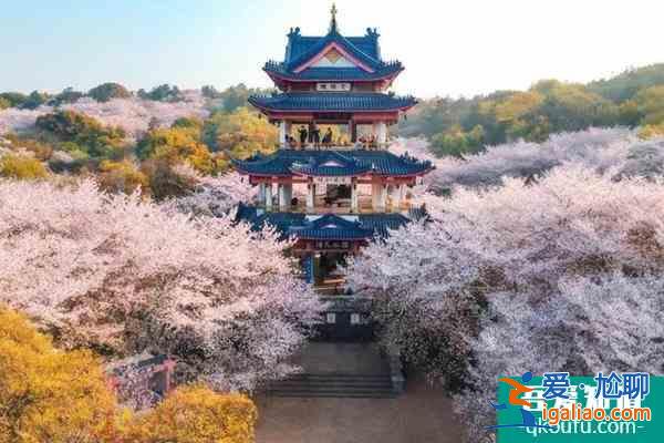 黿頭渚櫻花什么時(shí)候開放2022  黿頭渚門票多少錢？