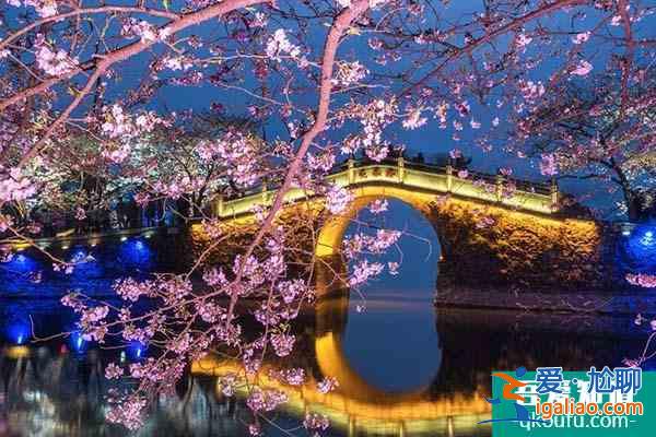 2022無錫黿頭渚賞櫻花攻略 附最佳時間及賞櫻路線？