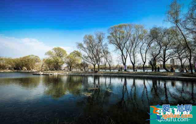 2022玉淵潭公園櫻花最佳觀賞時間？