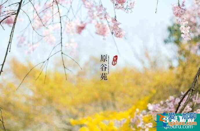 日本櫻花幾月開(kāi) 2022日本櫻花開(kāi)放時(shí)間及賞櫻地點(diǎn)介紹？