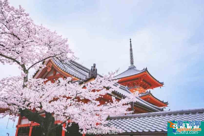 日本櫻花幾月開(kāi) 2022日本櫻花開(kāi)放時(shí)間及賞櫻地點(diǎn)介紹？