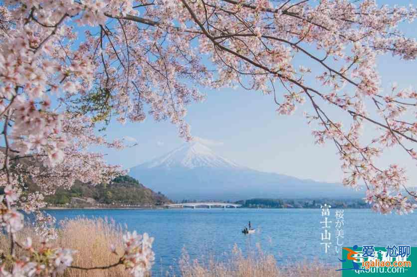 日本櫻花幾月開(kāi) 2022日本櫻花開(kāi)放時(shí)間及賞櫻地點(diǎn)介紹？