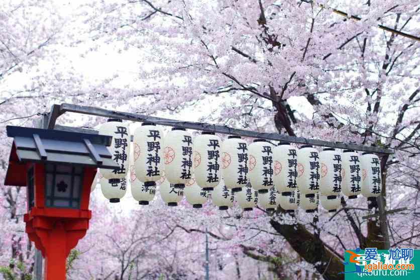 日本櫻花幾月開(kāi) 2022日本櫻花開(kāi)放時(shí)間及賞櫻地點(diǎn)介紹？
