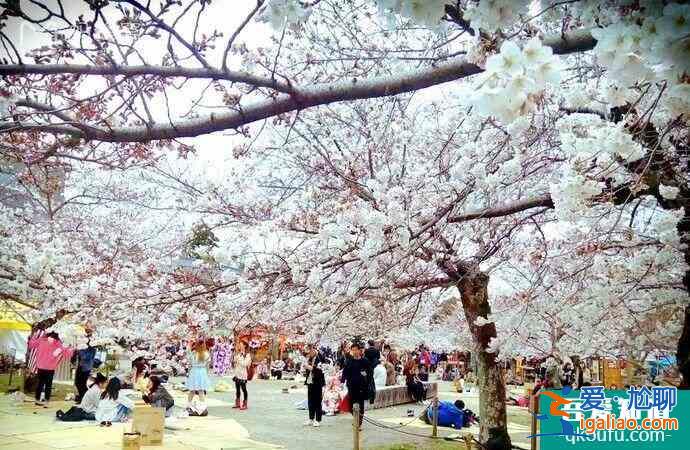 日本櫻花幾月開(kāi) 2022日本櫻花開(kāi)放時(shí)間及賞櫻地點(diǎn)介紹？