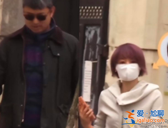 馬伊琍新戀情曝光!男方高大壯碩疑似圈外人 一起散步遛狗同回小區(qū)