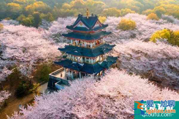 無(wú)錫黿頭渚門(mén)票多少錢(qián)2022？