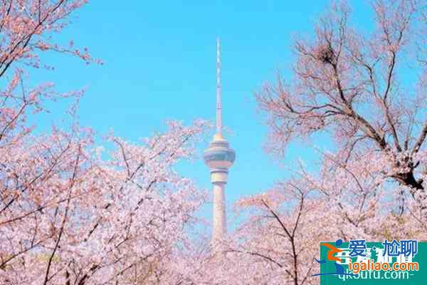 國內(nèi)三四月份適合旅游的地方？