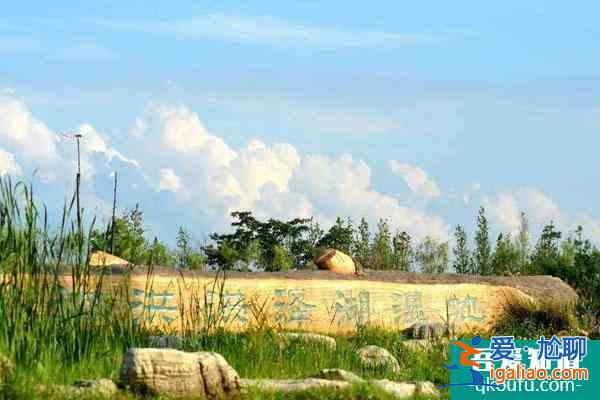 泗洪洪澤湖濕地公園開放時(shí)間一覽？