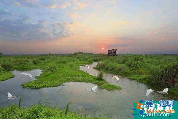 泗洪洪澤湖濕地公園開放時(shí)間一覽？