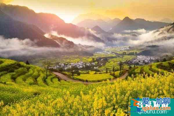 婺源油菜花旅游攻略 幾月份最好？