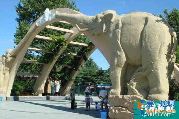 上海動物園團游優(yōu)惠政策2022？