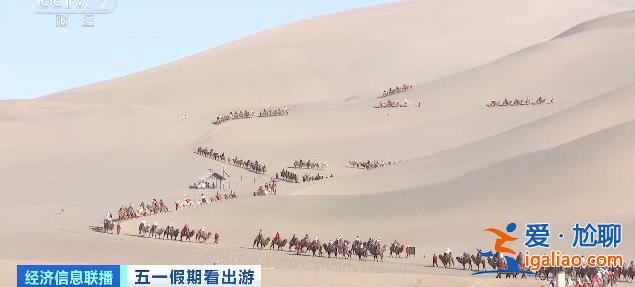 甘肅敦煌的景區(qū)里“堵駱駝”了 還有專門為駱駝設(shè)計的紅綠燈？