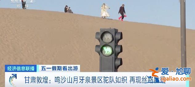 甘肅敦煌的景區(qū)里“堵駱駝”了 還有專門為駱駝設(shè)計的紅綠燈？