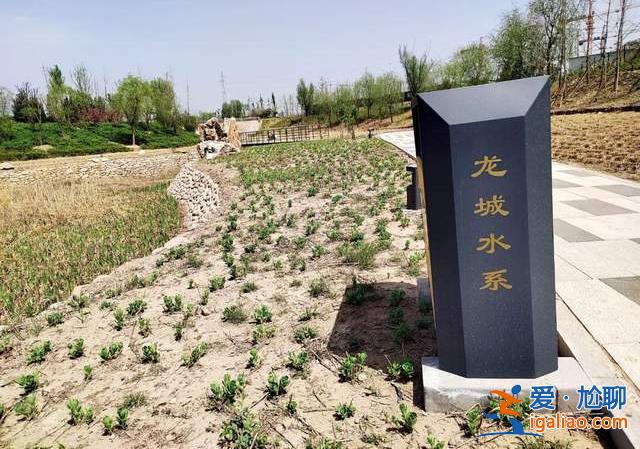 9.5億元項(xiàng)目未批先建 晉中違法占地事件調(diào)查？
