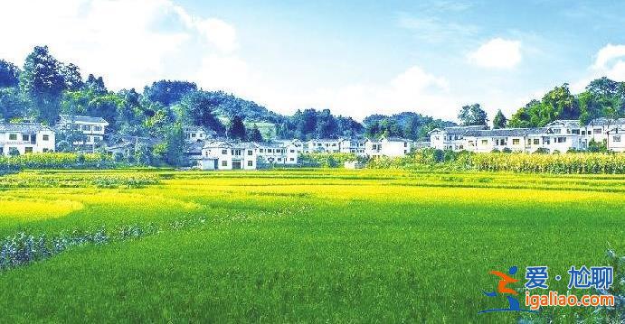 詳細解讀 新型農(nóng)村集體經(jīng)濟發(fā)展的現(xiàn)狀、問題與對策？