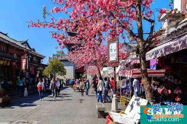 2022大理櫻花幾月開 大理賞櫻花最美的地方？