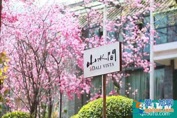 2022大理櫻花幾月開 大理賞櫻花最美的地方？