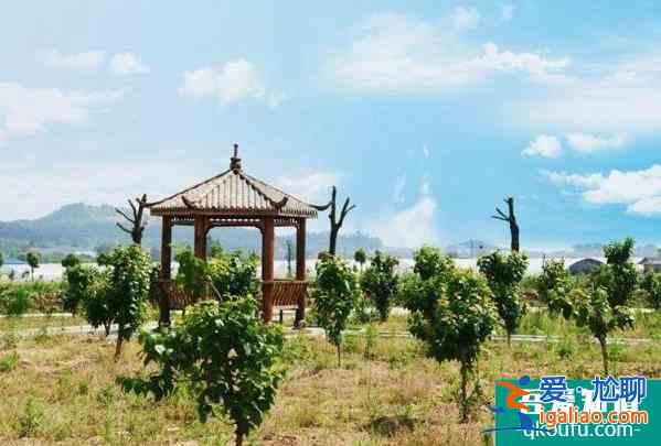 2022武漢蔡甸戶口免費游蔡甸景區(qū)有哪些？