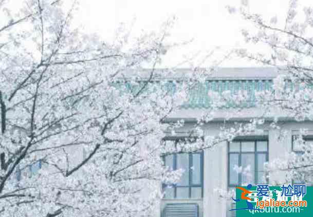 武大櫻花2022年什么時(shí)候開放？
