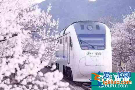 北京哪里賞櫻花2022？