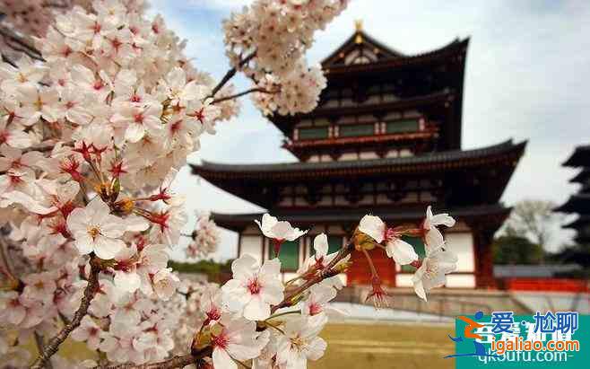 2022日本櫻花最佳觀賞時(shí)間 日本哪里櫻花好看？