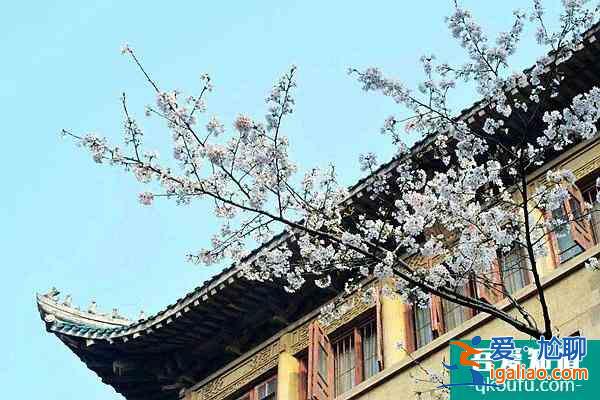 2022武漢大學(xué)櫻花節(jié)可以隨意免費(fèi)進(jìn)入嗎？