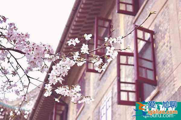 2022武大櫻花預(yù)約官網(wǎng)地址、門(mén)票及開(kāi)放時(shí)間介紹？