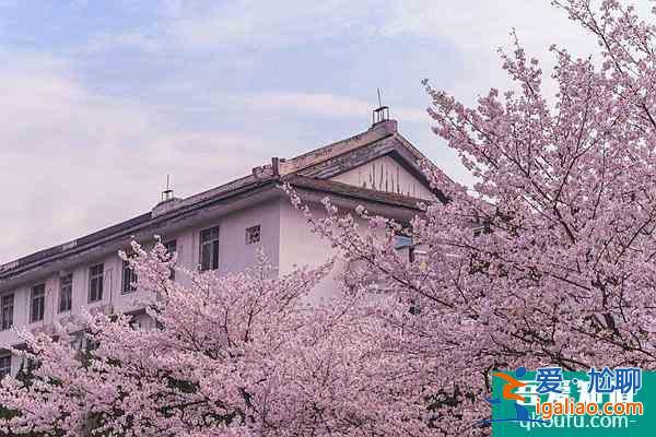 2022武大櫻花預(yù)約官網(wǎng)地址、門(mén)票及開(kāi)放時(shí)間介紹？