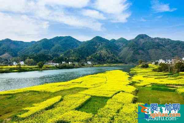 安徽看油菜花最好的地方 九大最美觀賞地？