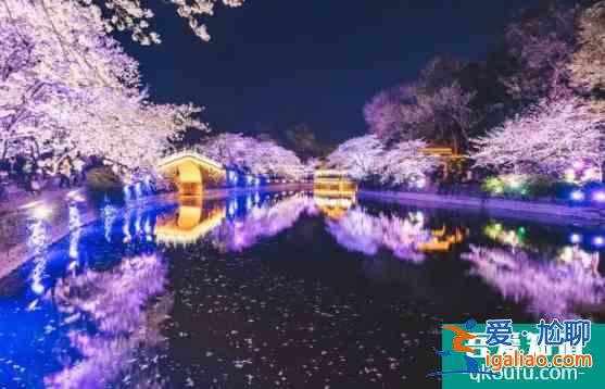 2022年無錫櫻花節(jié)時間及門票價格？
