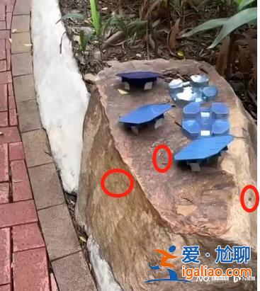 確有此事 已處理并消殺？