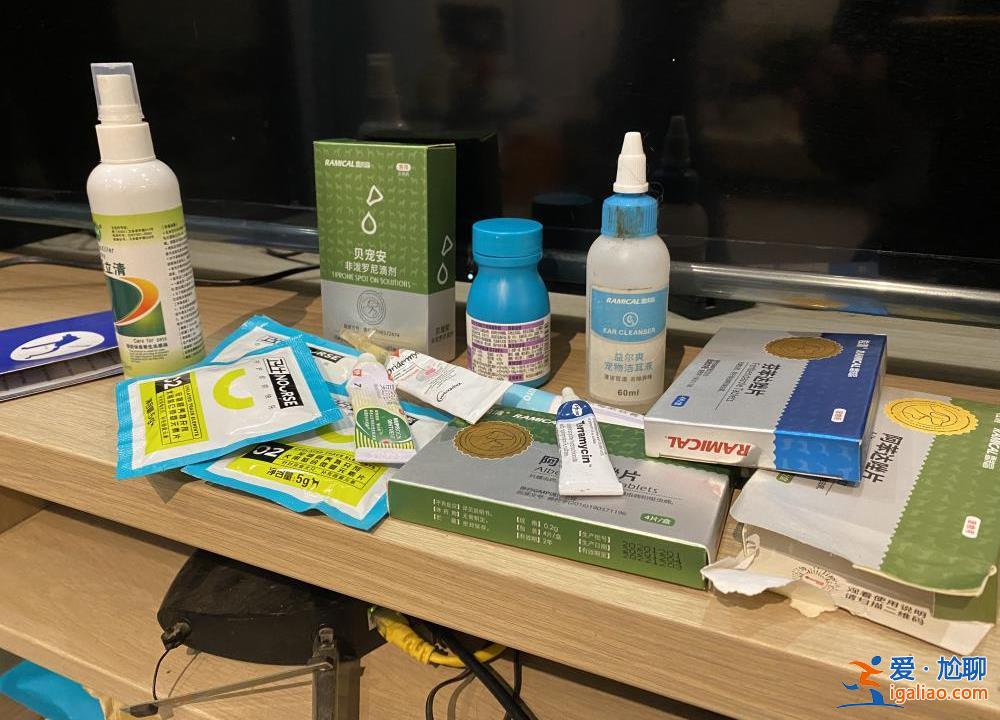 喂養(yǎng)兩條“棄狗” 一對(duì)年輕夫妻被指控盜竊罪、判處拘役4個(gè)月？