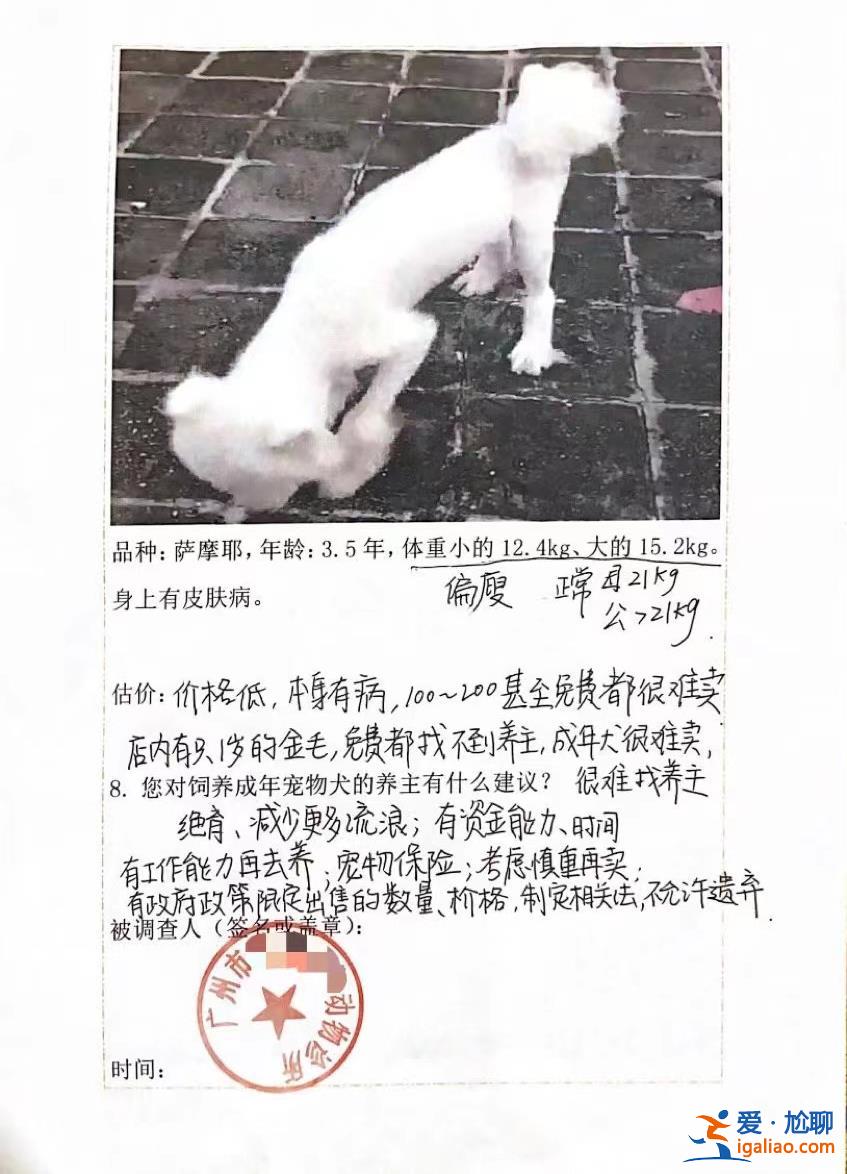 喂養(yǎng)兩條“棄狗” 一對(duì)年輕夫妻被指控盜竊罪、判處拘役4個(gè)月？
