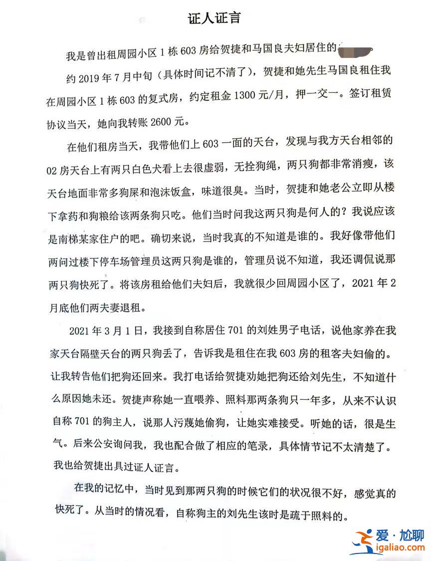 喂養(yǎng)兩條“棄狗” 一對(duì)年輕夫妻被指控盜竊罪、判處拘役4個(gè)月？