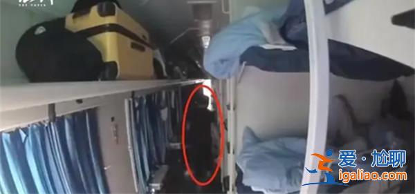 男子列車上猥褻熟睡女子被行拘10天，引起人們的深思[深思]？
