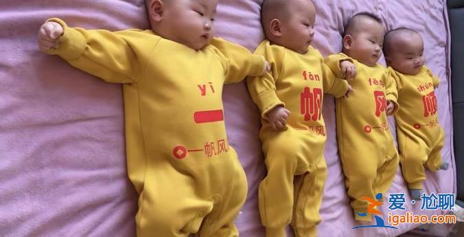 女子稱(chēng)生四胞胎后又懷四胞胎 最新回應(yīng):考慮到母體的健康 已終止妊娠？