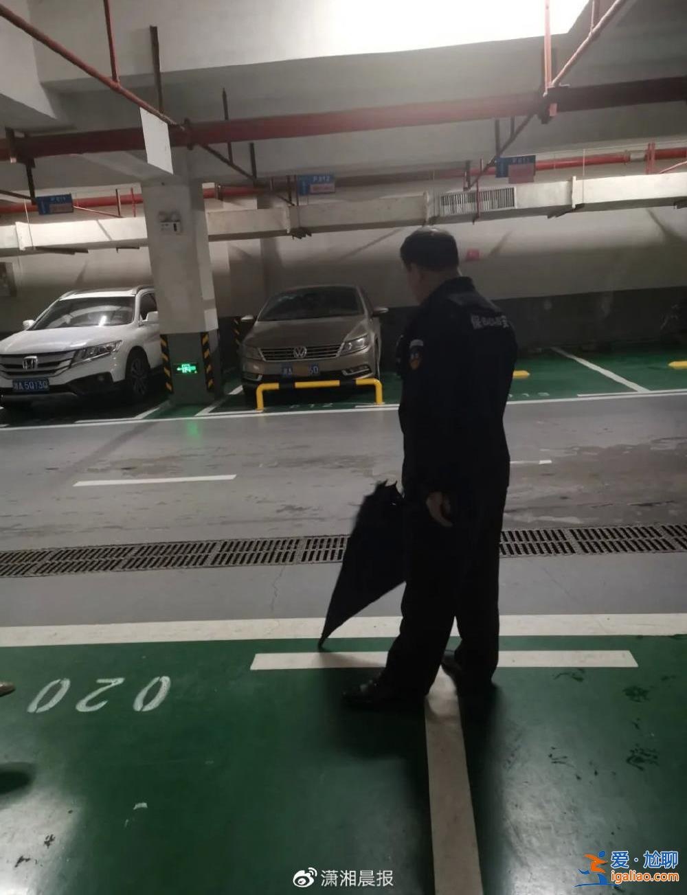 車主誠懇致歉 欄桿拆除？