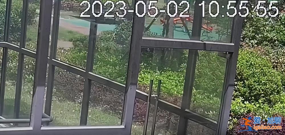 上海一兒童被打成腦震蕩！只因?qū)﹀薰啡苏f了這句話……？