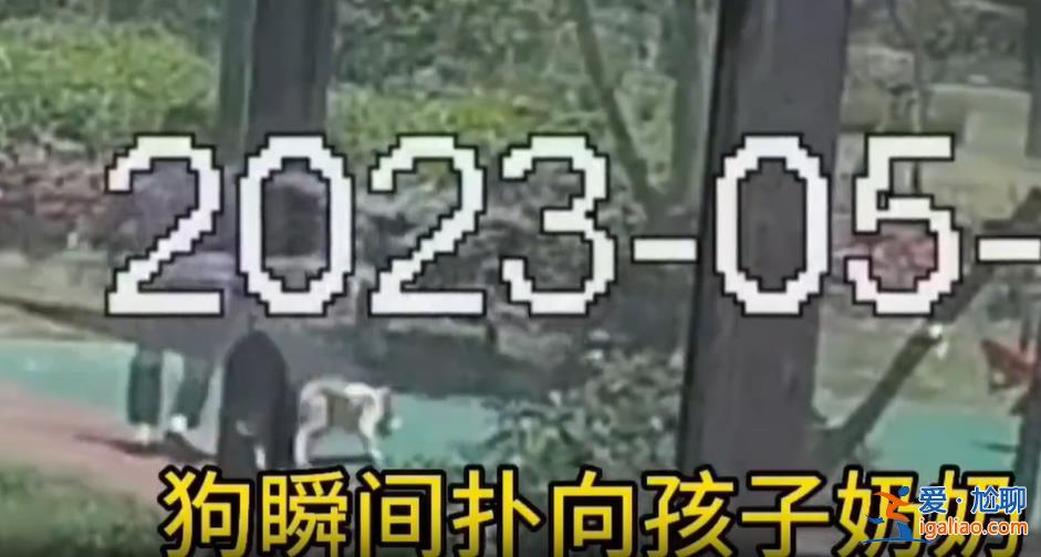 上海一兒童被打成腦震蕩！只因?qū)﹀薰啡苏f了這句話……？