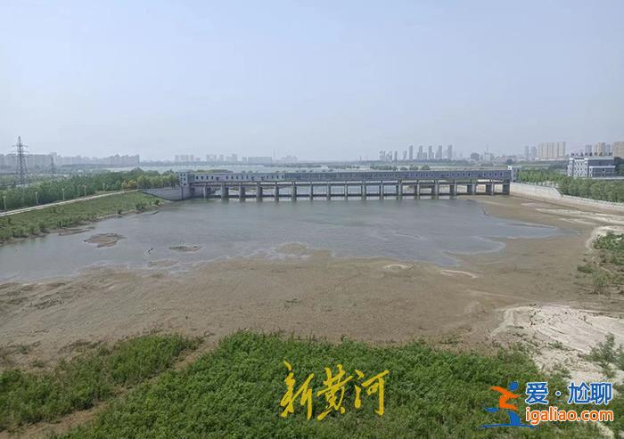 男子緩刑期無(wú)證酒駕撞人后拋尸河中 肇事地點(diǎn)距離醫(yī)院僅十米？