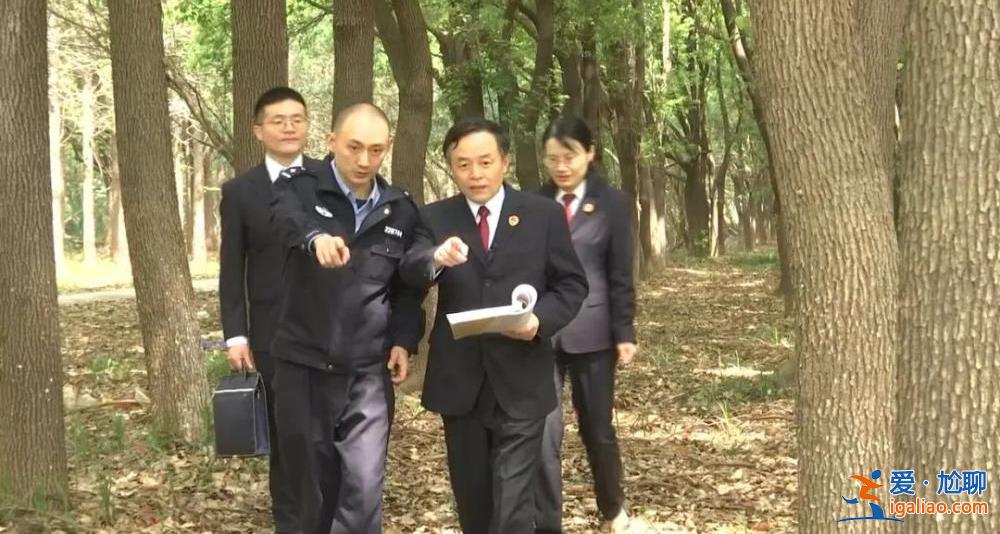 若敢以身試法 必將受到嚴(yán)懲？